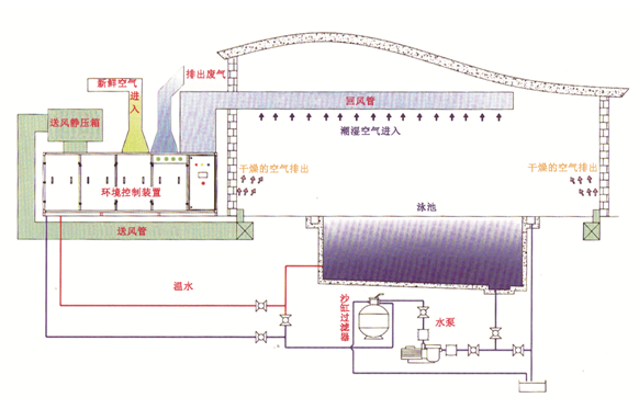 瀚宇水處理：如果做好這些，奧運(yùn)泳池怎么會(huì)“綠”?